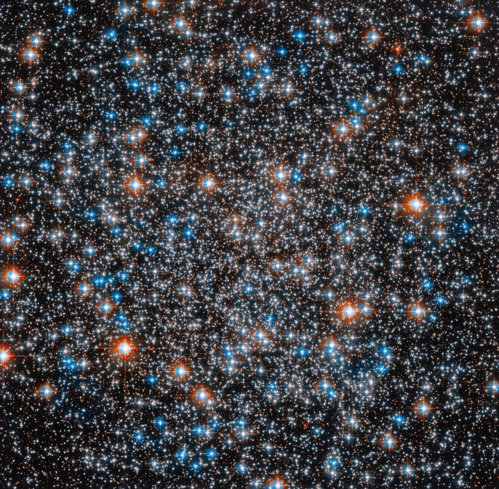 A portion of globular star cluster M55.